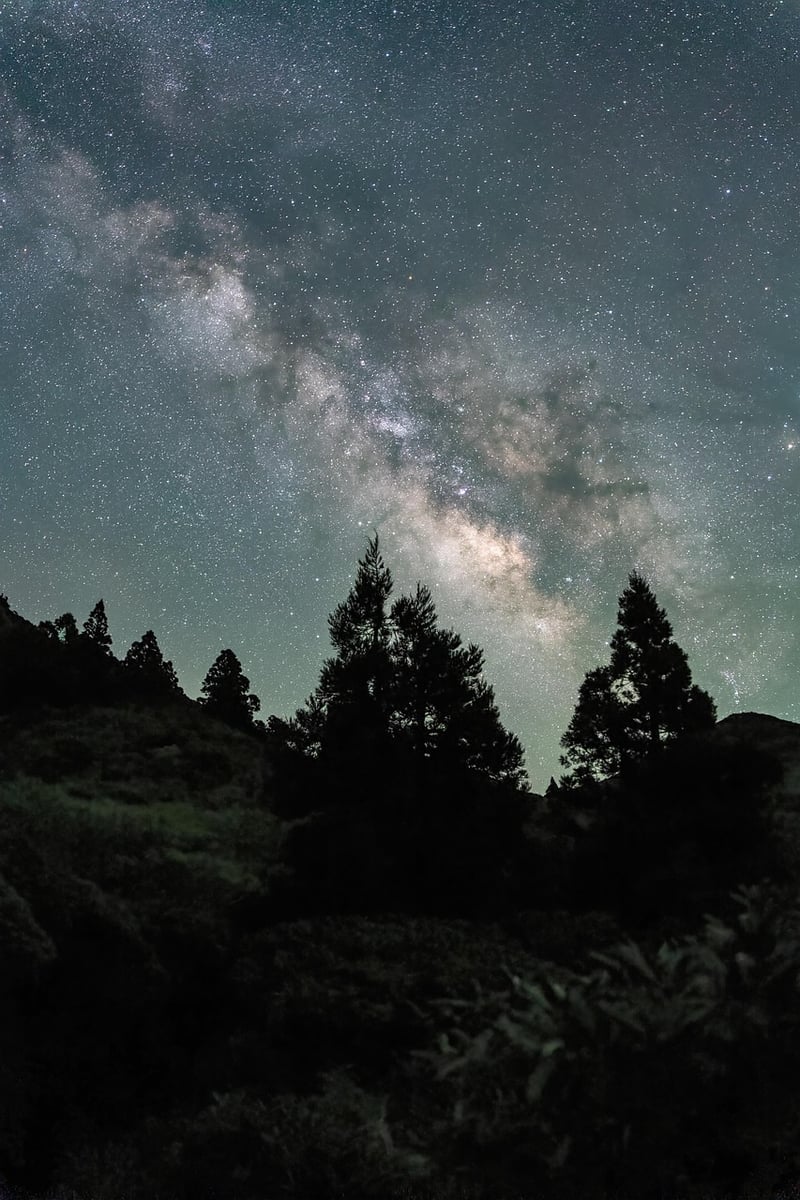 Cosmos Image
